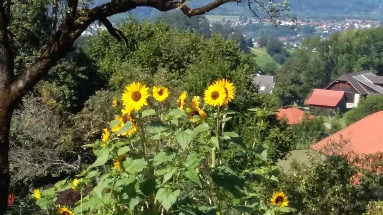 Apartamento Müllnerhaus Millstatt Exterior foto